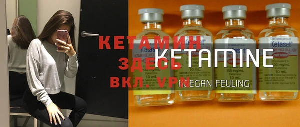 сатива Богданович