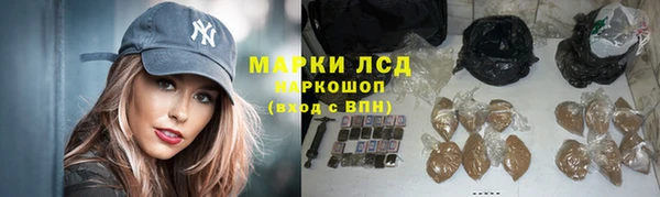 сатива Богданович