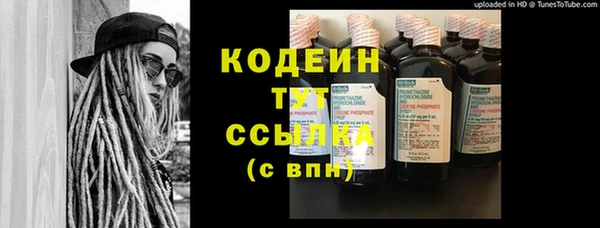 сатива Богданович
