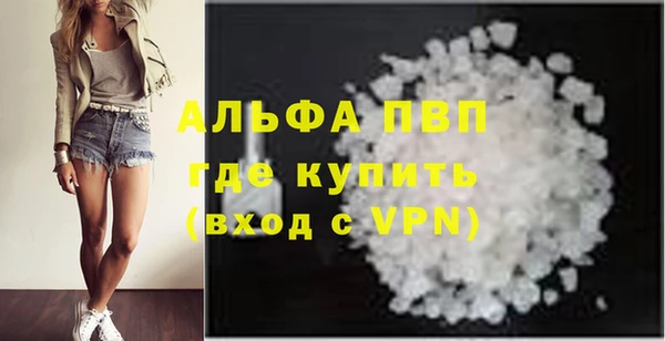 сатива Богданович