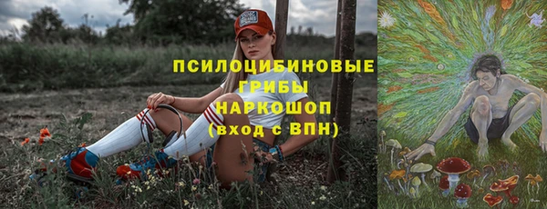 apvp Богородск