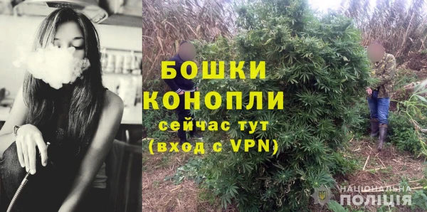 сатива Богданович