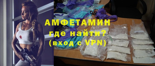 сатива Богданович