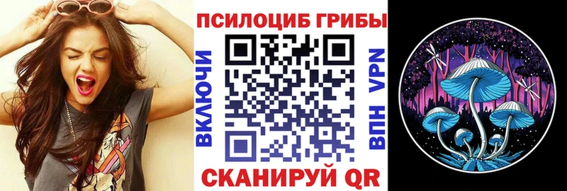 магазин  наркотиков  Нижний Тагил  OMG   Галлюциногенные грибы Magic Shrooms 